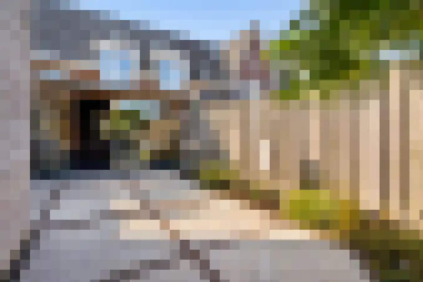 Kleinebogerd 3 Tull en 't Waal thumbnail 51