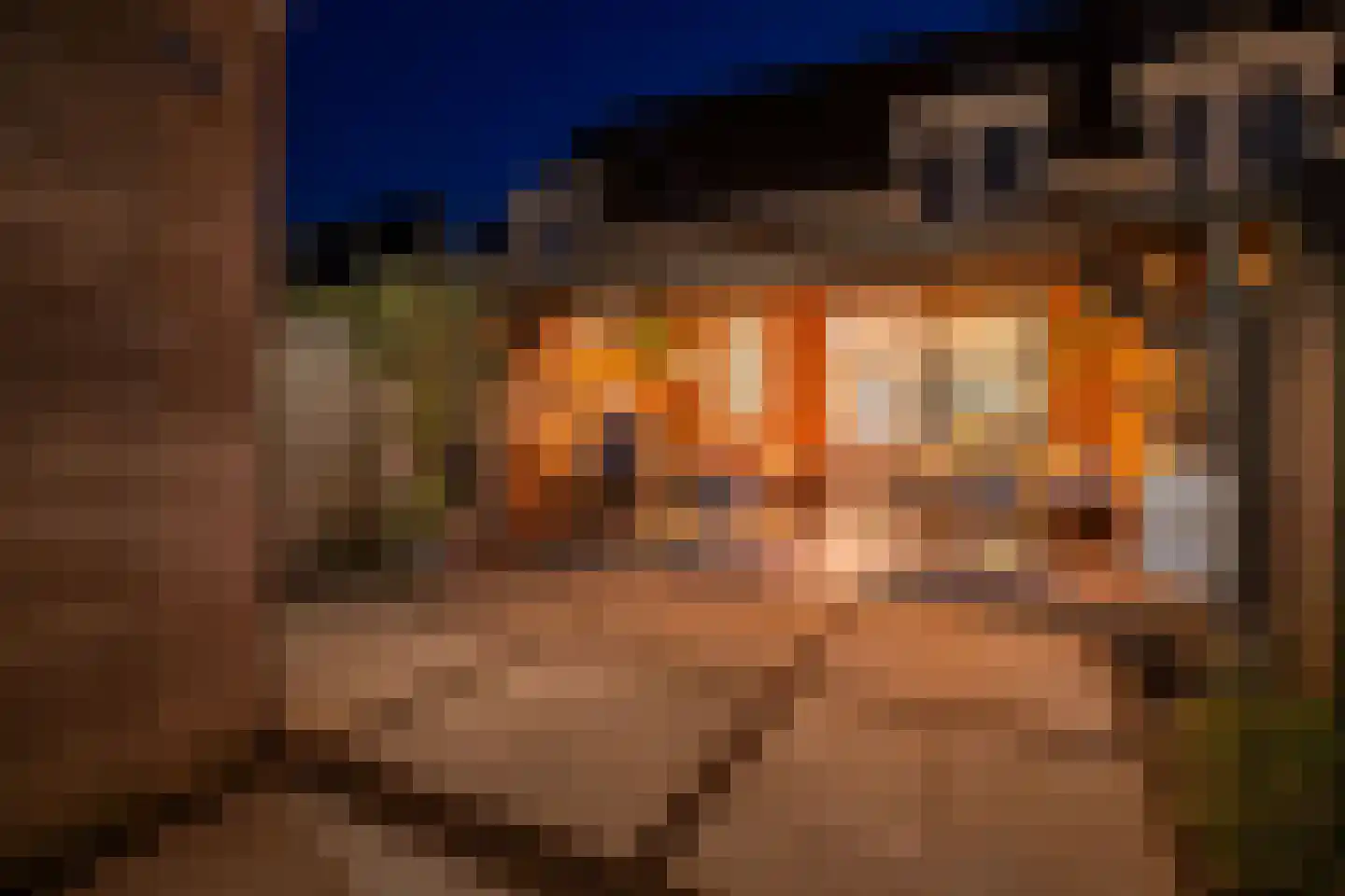 Kleinebogerd 3 Tull en 't Waal thumbnail 55