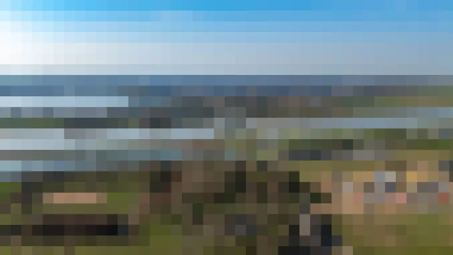 Kleinebogerd 3 Tull en 't Waal thumbnail 69