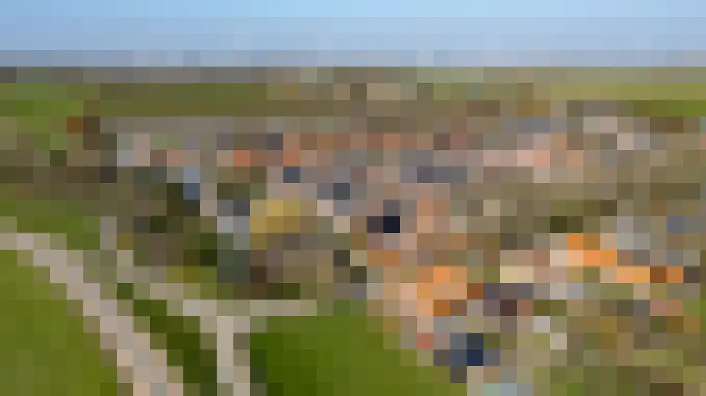 Kleinebogerd 3 Tull en 't Waal thumbnail 72