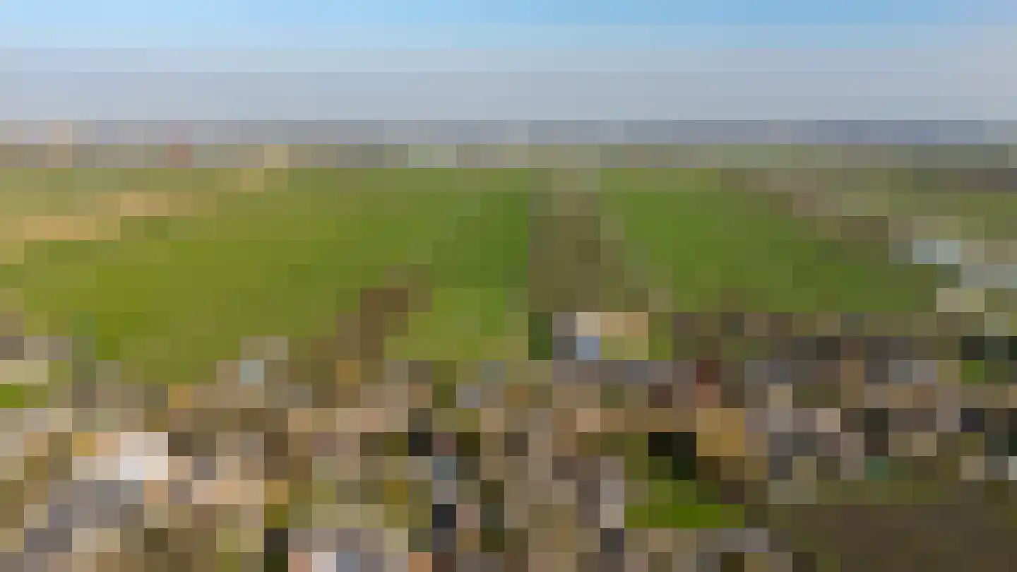 Kleinebogerd 3 Tull en 't Waal thumbnail 77