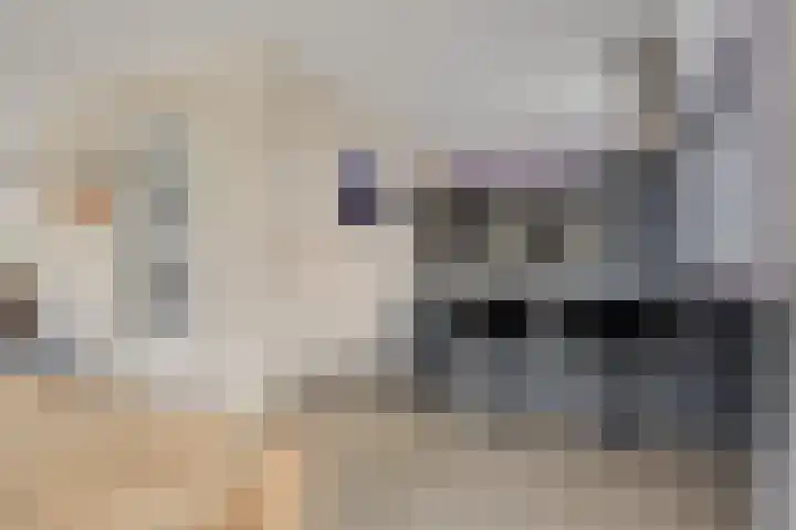 Kleinekolk 4 Wapenveld thumbnail 11