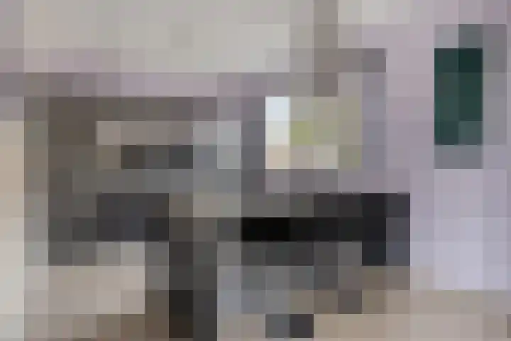 Kleinekolk 4 Wapenveld thumbnail 12