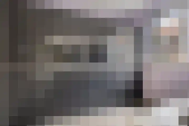 Kleinekolk 4 Wapenveld thumbnail 13