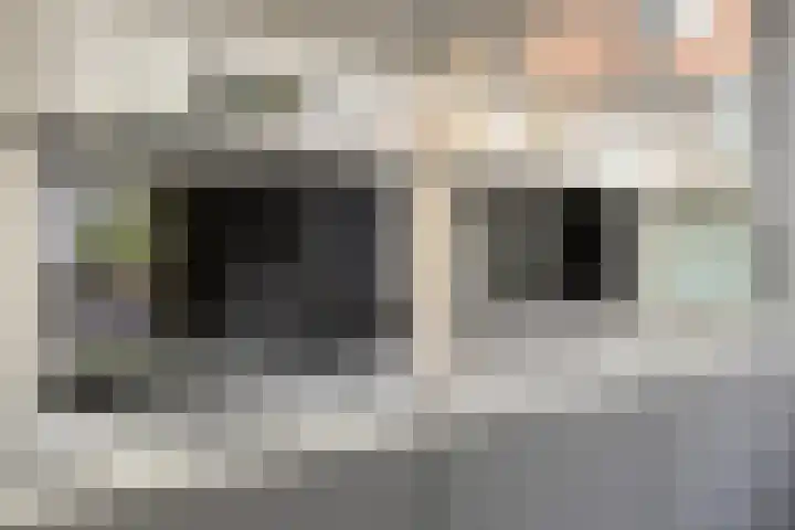 Kleinekolk 4 Wapenveld thumbnail 14