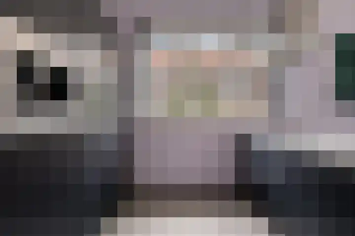 Kleinekolk 4 Wapenveld thumbnail 15