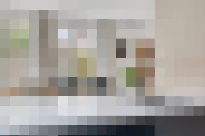 Kleinekolk 4 Wapenveld thumbnail 16