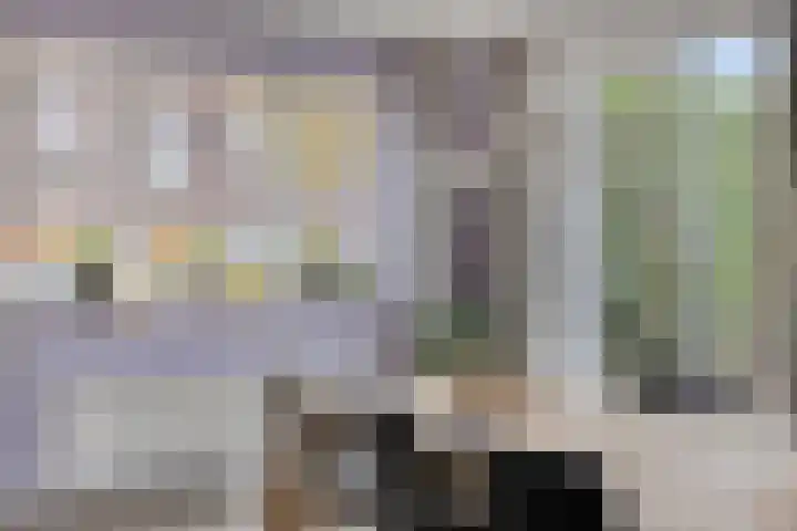 Kleinekolk 4 Wapenveld thumbnail 17