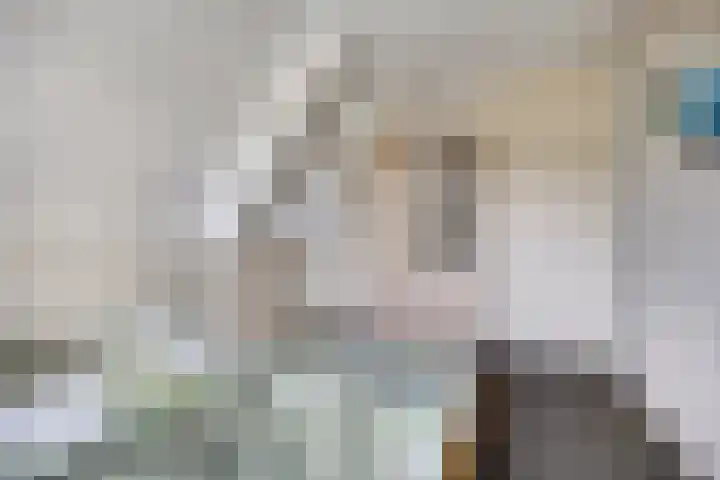 Kleinekolk 4 Wapenveld thumbnail 20