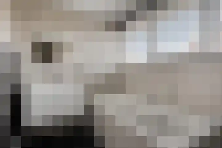 Kleinekolk 4 Wapenveld thumbnail 22