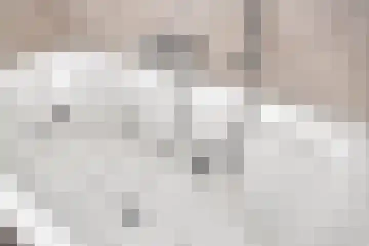 Kleinekolk 4 Wapenveld thumbnail 24