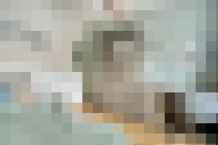 Kleinekolk 4 Wapenveld thumbnail 26