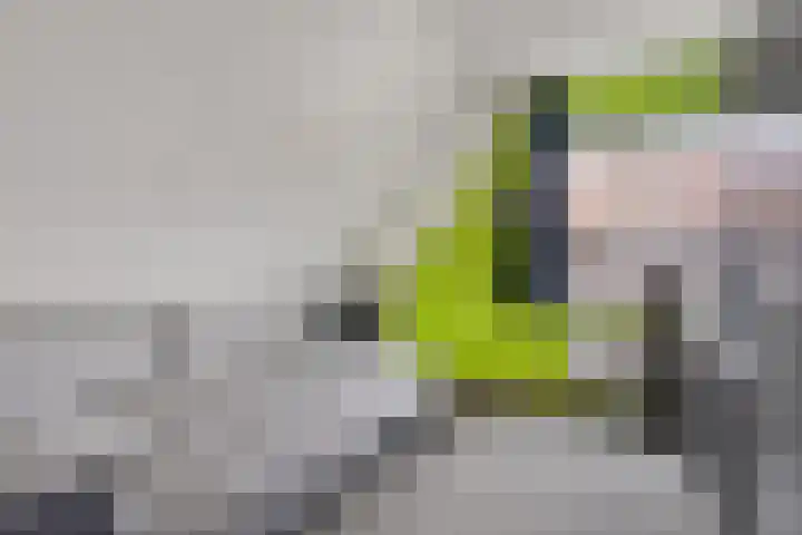 Kleinekolk 4 Wapenveld thumbnail 27