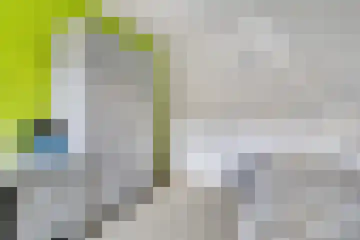 Kleinekolk 4 Wapenveld thumbnail 28