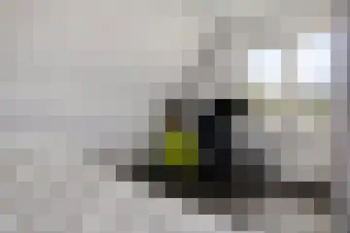 Kleinekolk 4 Wapenveld thumbnail 29
