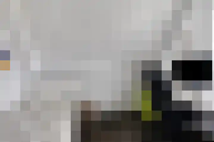Kleinekolk 4 Wapenveld thumbnail 30