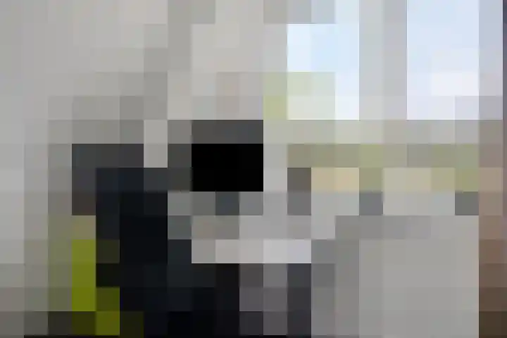 Kleinekolk 4 Wapenveld thumbnail 31