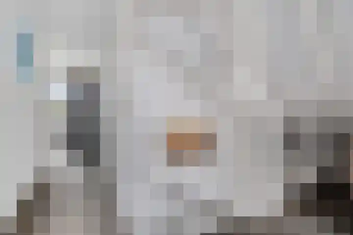 Kleinekolk 4 Wapenveld thumbnail 32