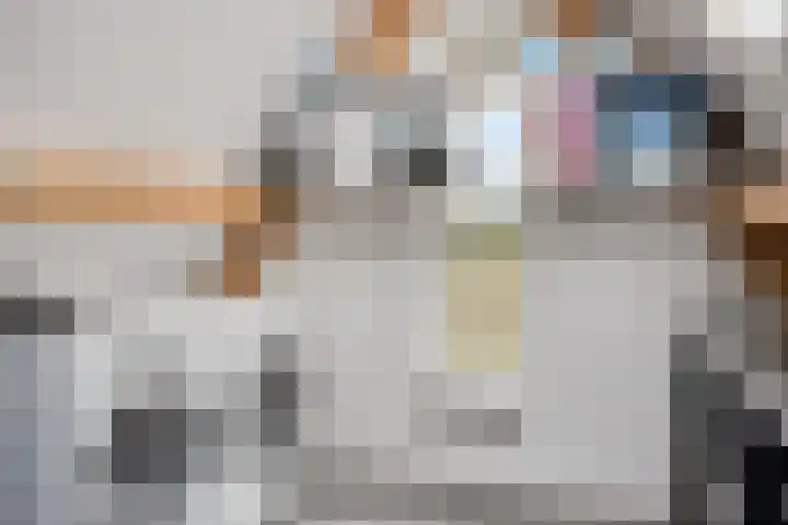 Kleinekolk 4 Wapenveld thumbnail 34