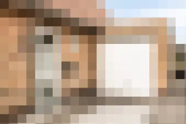 Kleinekolk 4 Wapenveld thumbnail 36
