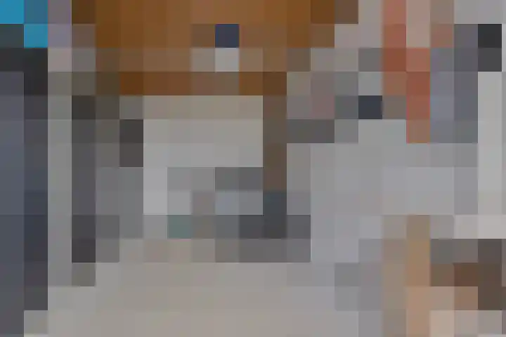 Kleinekolk 4 Wapenveld thumbnail 37