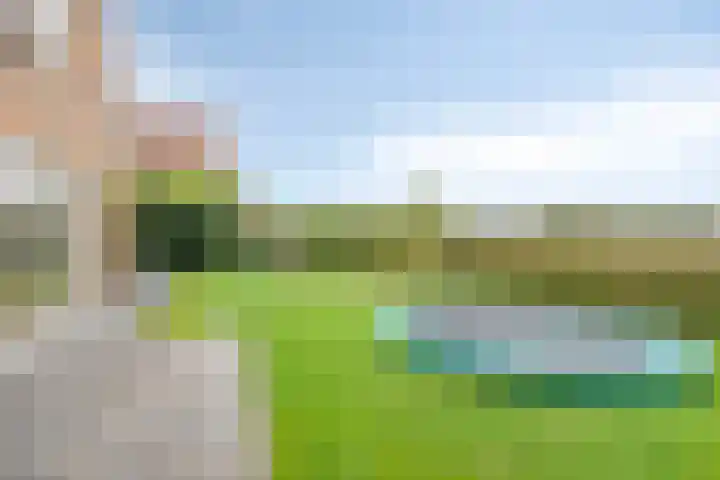 Kleinekolk 4 Wapenveld thumbnail 38