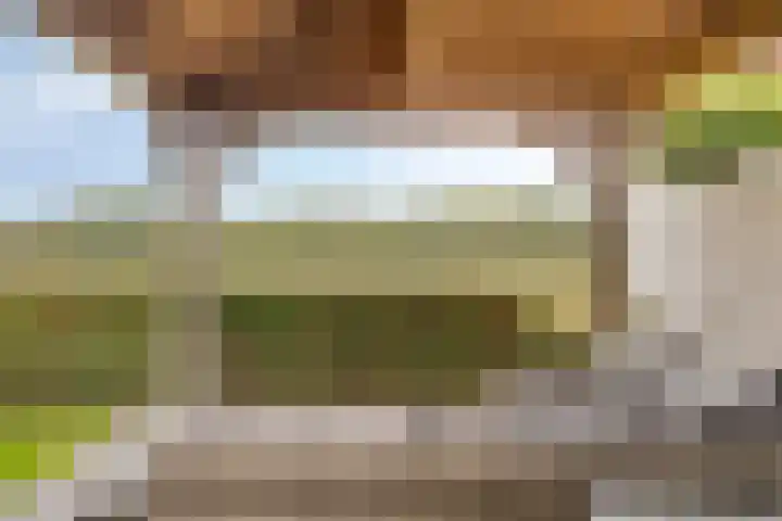 Kleinekolk 4 Wapenveld thumbnail 40