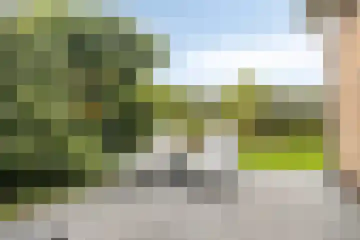 Kleinekolk 4 Wapenveld thumbnail 42