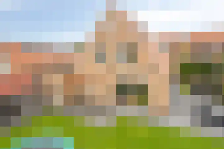 Kleinekolk 4 Wapenveld thumbnail 44