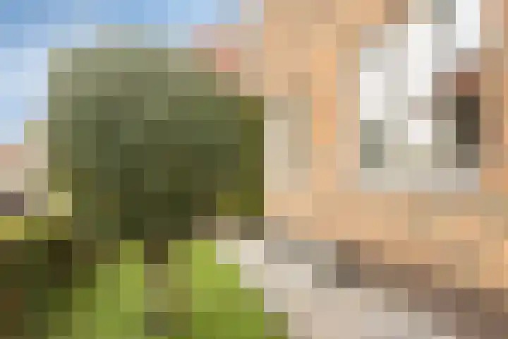 Kleinekolk 4 Wapenveld thumbnail 45
