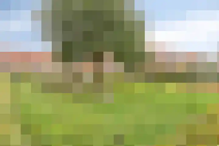 Kleinekolk 4 Wapenveld thumbnail 46