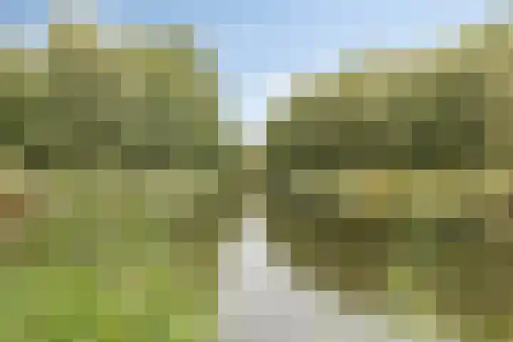 Kleinekolk 4 Wapenveld thumbnail 48