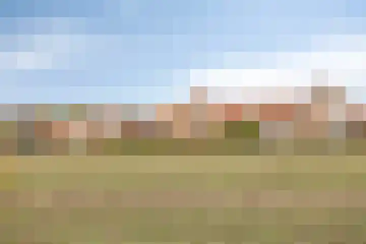 Kleinekolk 4 Wapenveld thumbnail 49