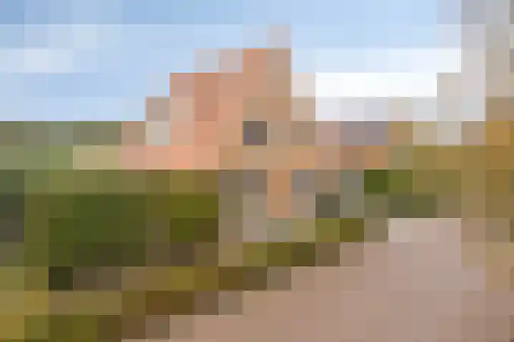 Kleinekolk 4 Wapenveld thumbnail 51