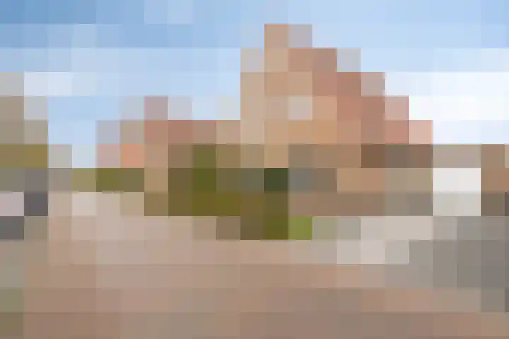 Kleinekolk 4 Wapenveld thumbnail 54