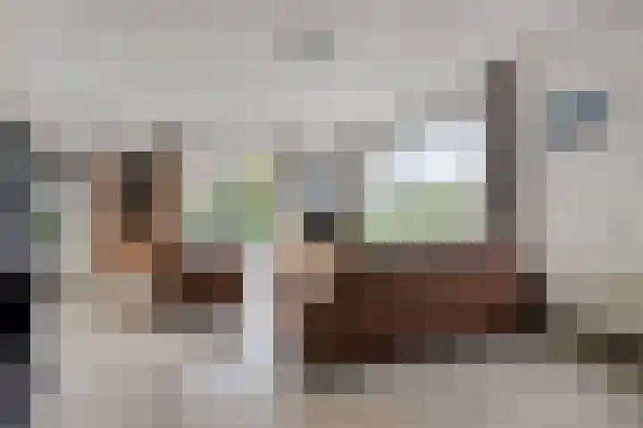 Kleinekolk 4 Wapenveld thumbnail 6
