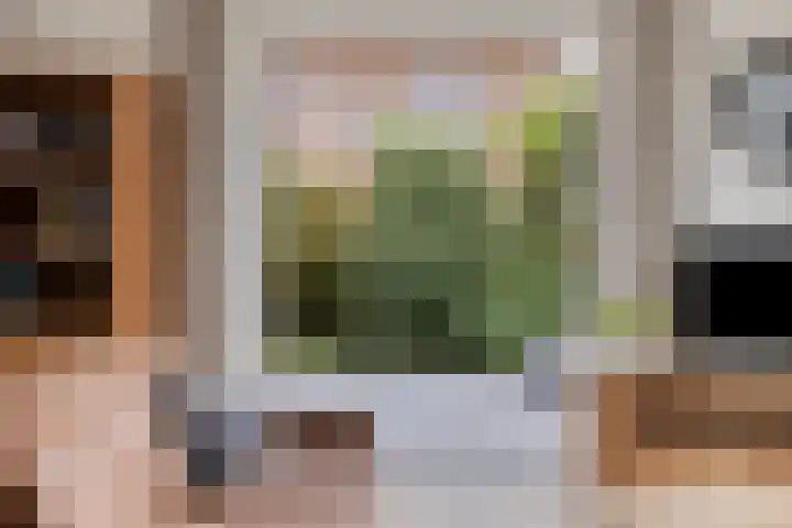 Kleinekolk 4 Wapenveld thumbnail 8