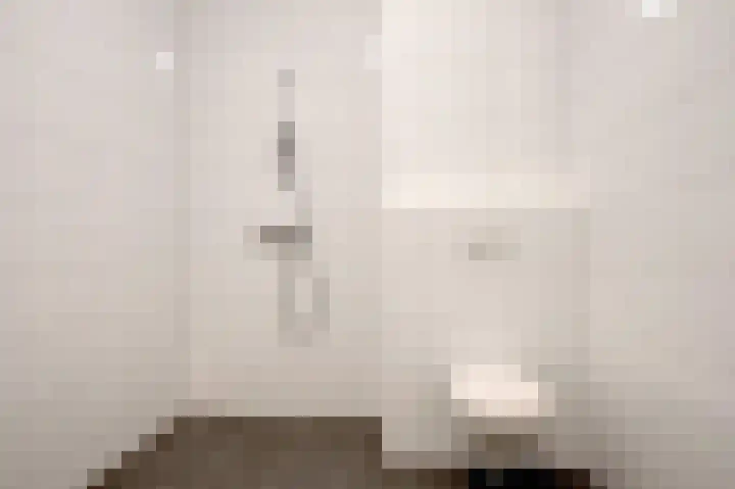 Kleinemeersterstraat 1 app2 Sappemeer thumbnail 25