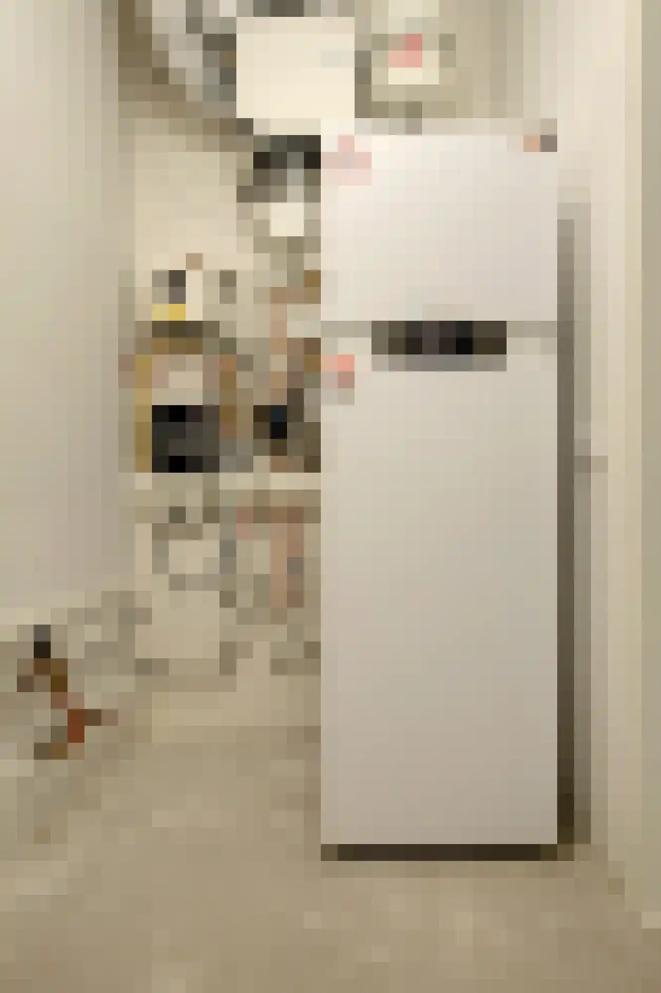 Kleinemeersterstraat 1 app2 Sappemeer thumbnail 26