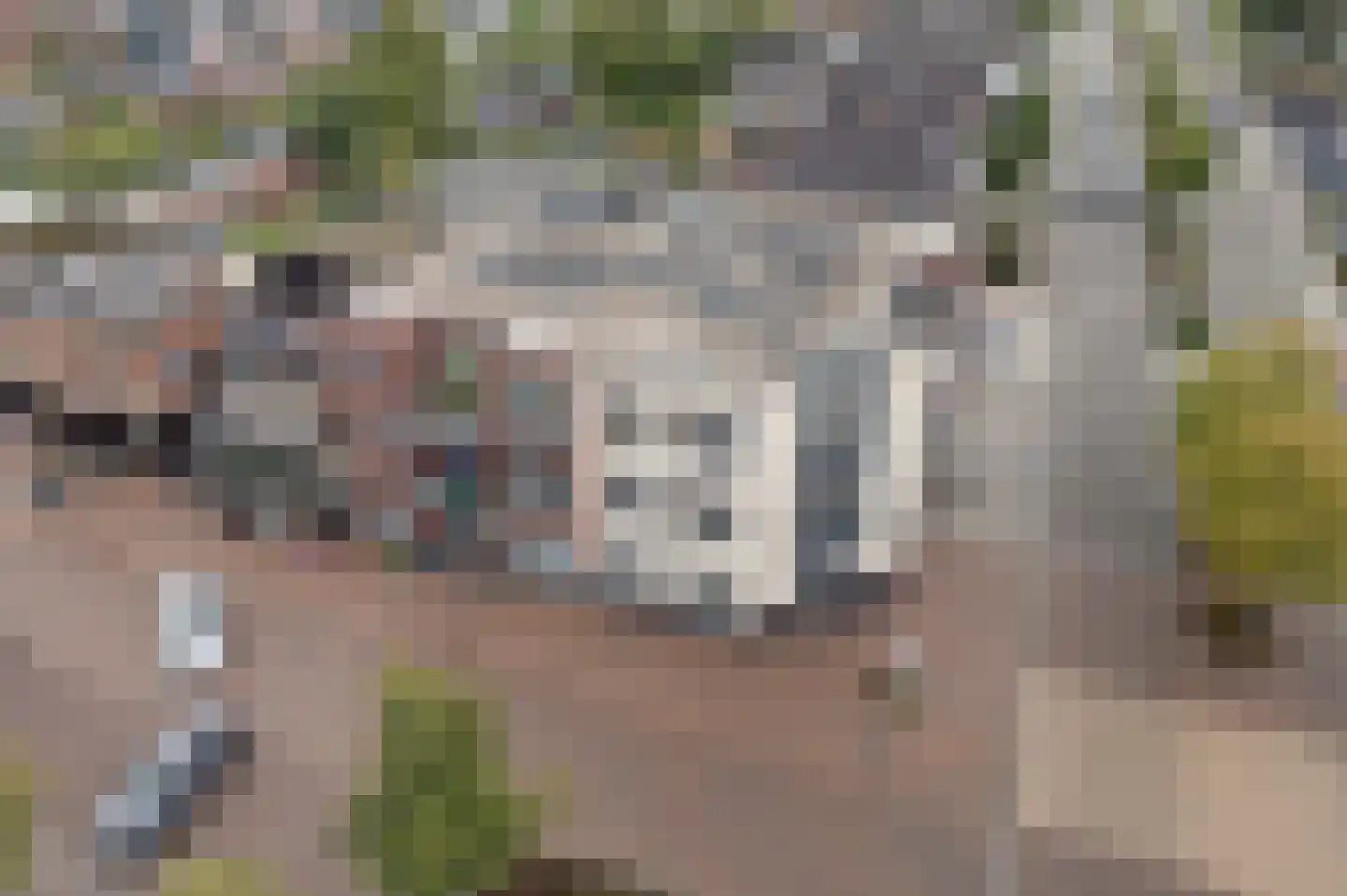 Kleinemeersterstraat 1 app2 Sappemeer thumbnail 7
