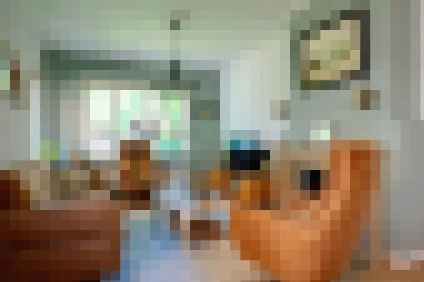 Kleinemeersterstraat 122 Sappemeer thumbnail 16