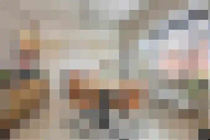 Kleinemeersterstraat 147 Sappemeer thumbnail 10