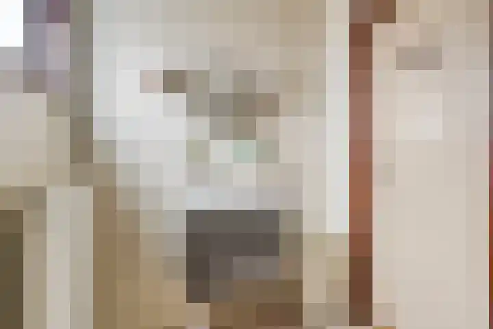 Kleinemeersterstraat 147 Sappemeer thumbnail 20