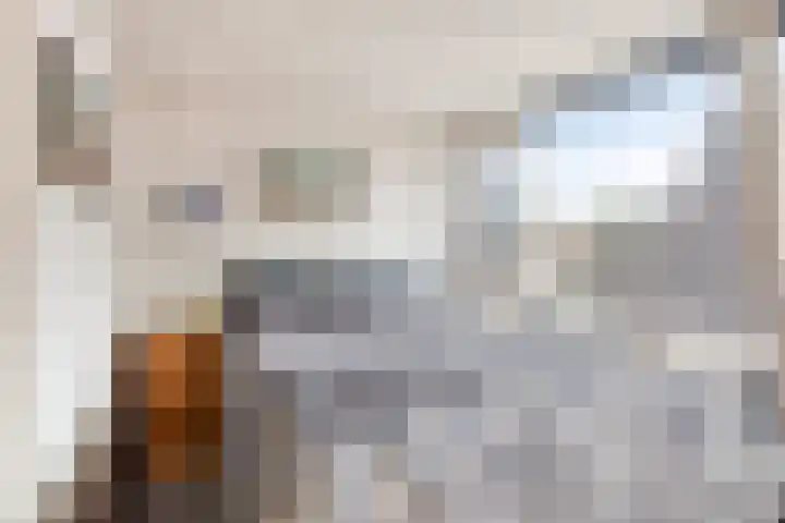 Kleinemeersterstraat 147 Sappemeer thumbnail 28