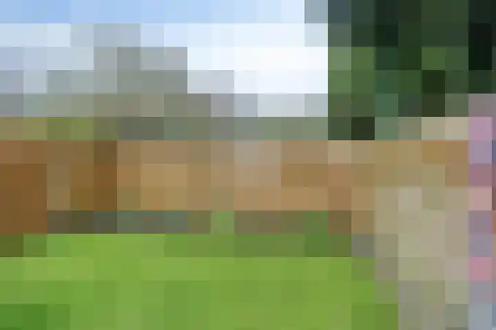 Kleinemeersterstraat 147 Sappemeer thumbnail 36