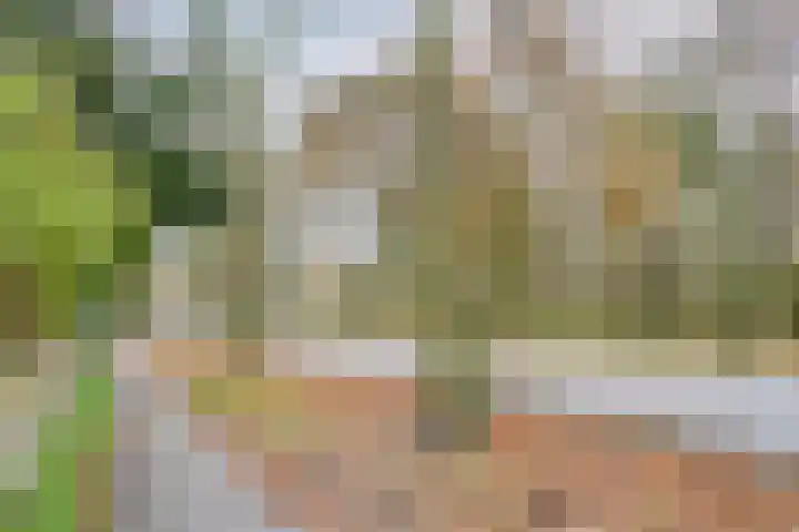 Kleinemeersterstraat 147 Sappemeer thumbnail 41
