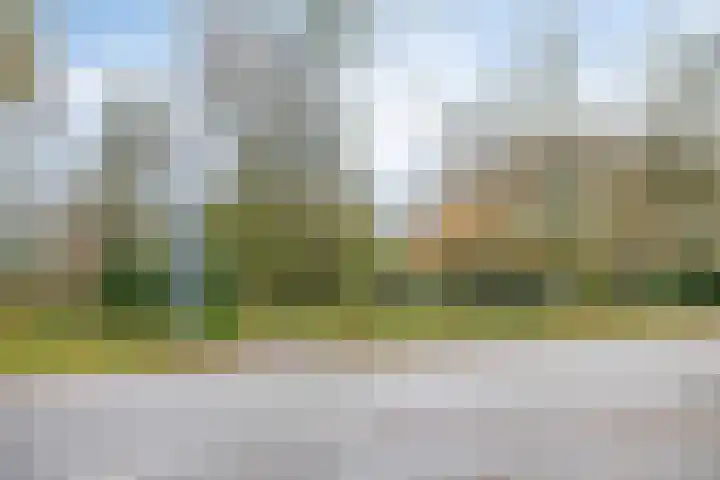 Kleinemeersterstraat 147 Sappemeer thumbnail 42