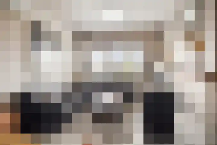Kleinemeersterstraat 147 Sappemeer thumbnail 5