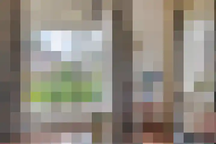 Kleinemeersterstraat 148 Sappemeer thumbnail 10