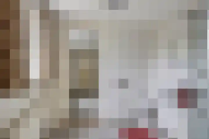 Kleinemeersterstraat 148 Sappemeer thumbnail 22